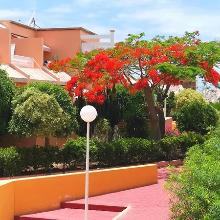 Orlando Sea Apartment